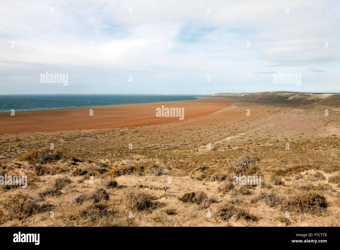 El Pedral banca shingle, vicino a Puerto Madryn , Chubut Provincia, Patagonia, Argentina. Santuario del pinguino globale della società. Foto Stock