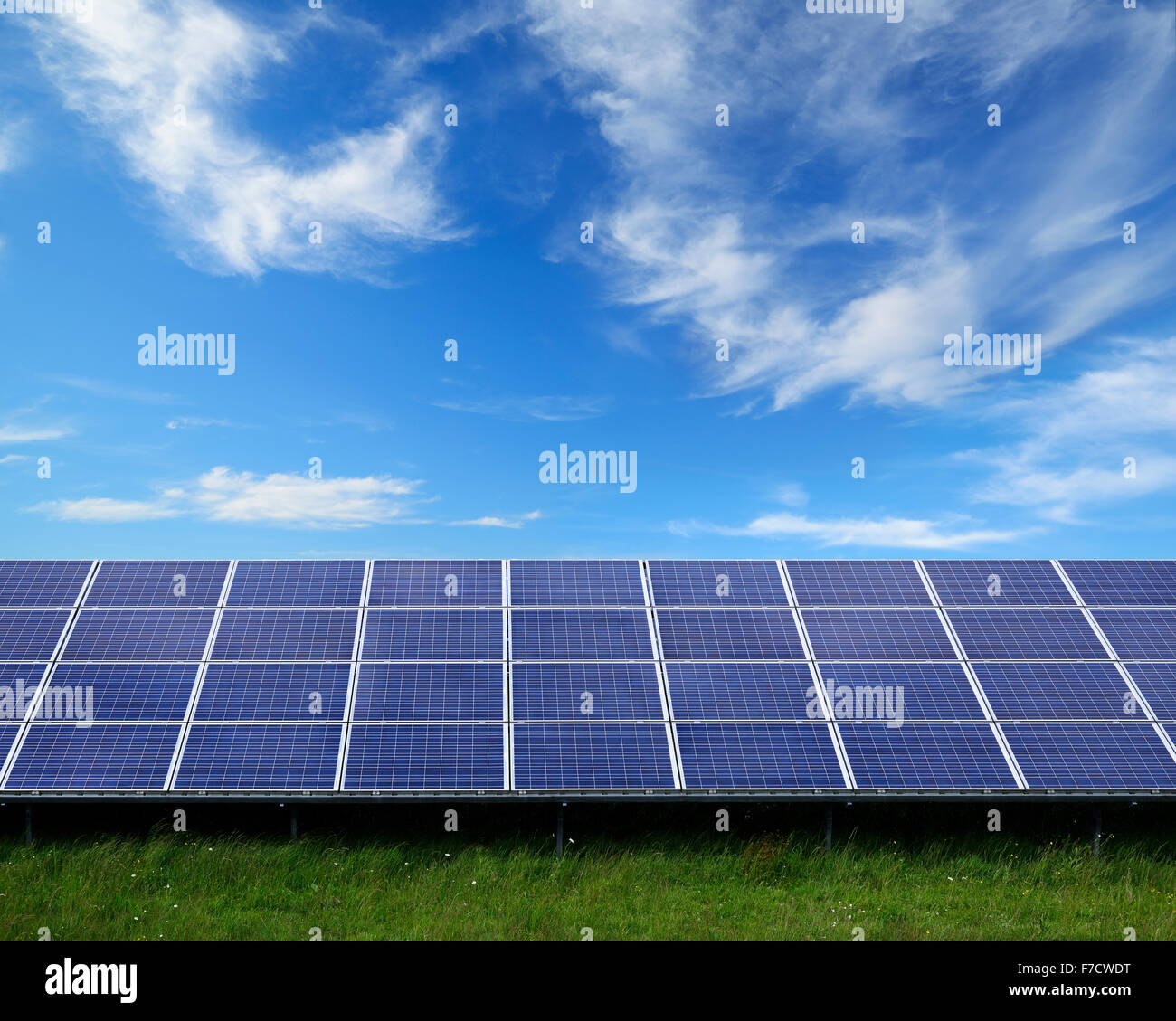 Pannelli solari su una fattoria solare, Regno Unito. Foto Stock