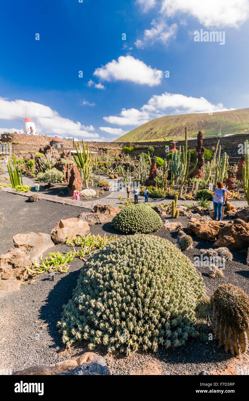 Jardin de Cactus, Lanzarote, creato dall'artista César Manrique Foto Stock