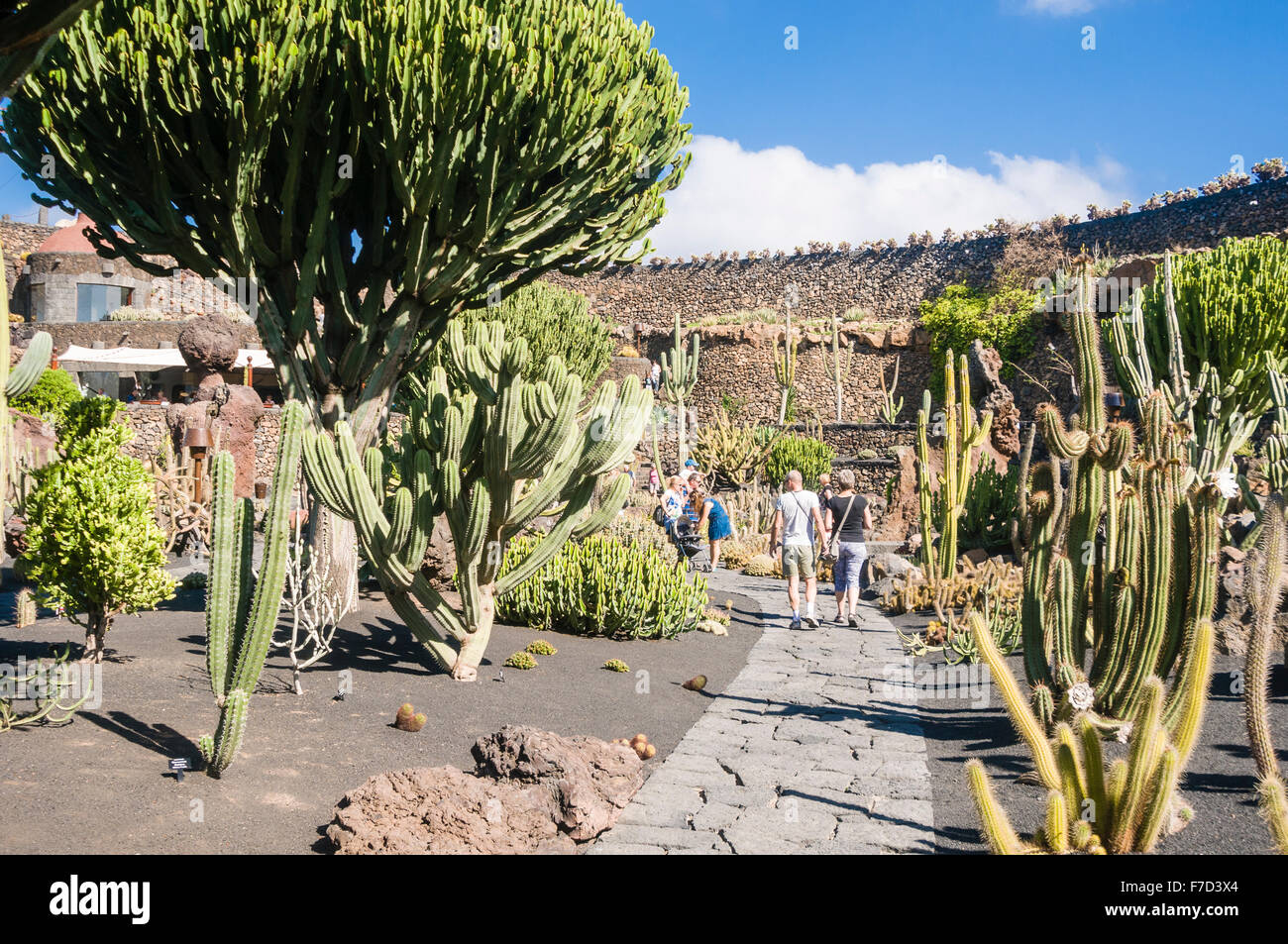 I visitatori a piedi attraverso il Jardin de Cactus, Lanzarote, creato dall'artista César Manrique Foto Stock