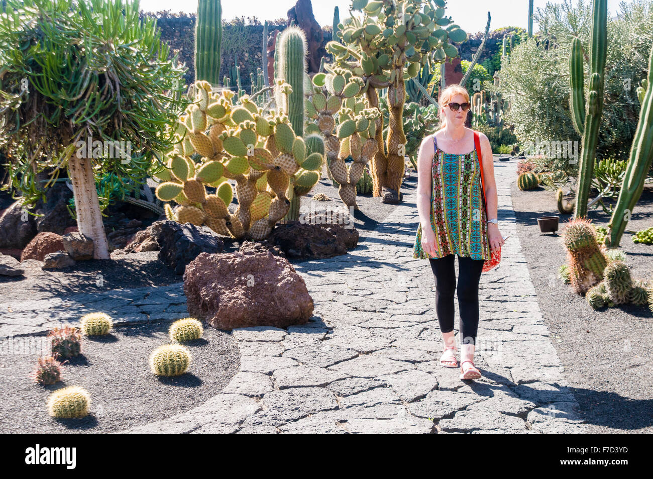 Una donna ammira cactii gigante nel Jardin de Cactus, Lanzarote, creato dall'artista César Manrique Foto Stock