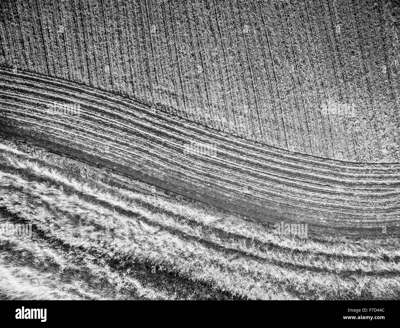 Foto aerea guardando in giù sul campo arato con andamento lineare Foto Stock