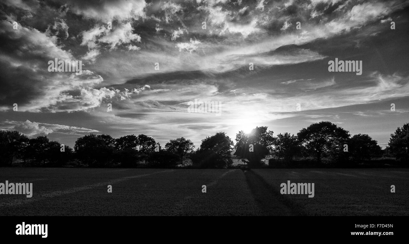 Sun circa per impostare dietro a profilarsi la linea di alberi con drammatica cielo sopra Foto Stock