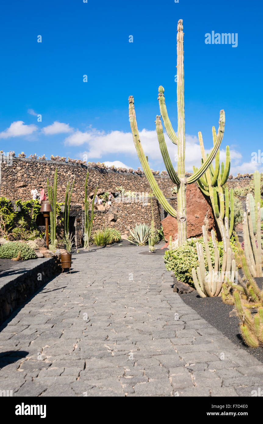 Jardin de Cactus, Lanzarote, creato dall'artista César Manrique Foto Stock