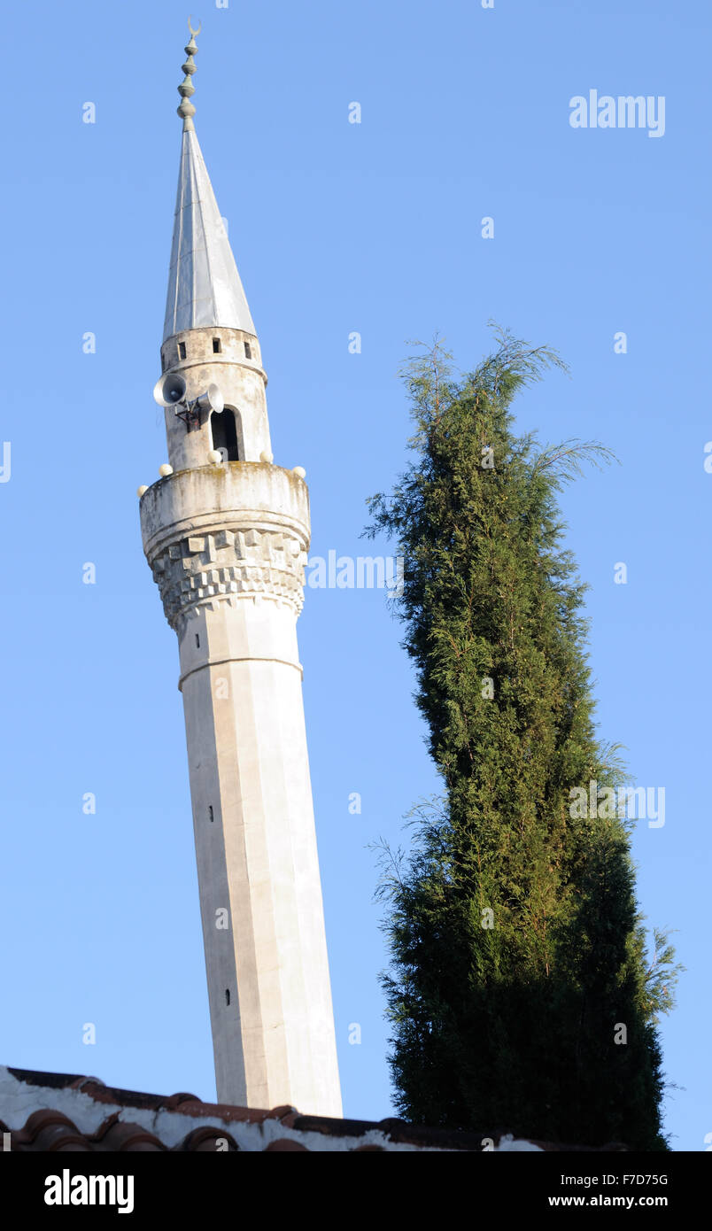 Minareto e cipresso. Berat, Albania. Foto Stock