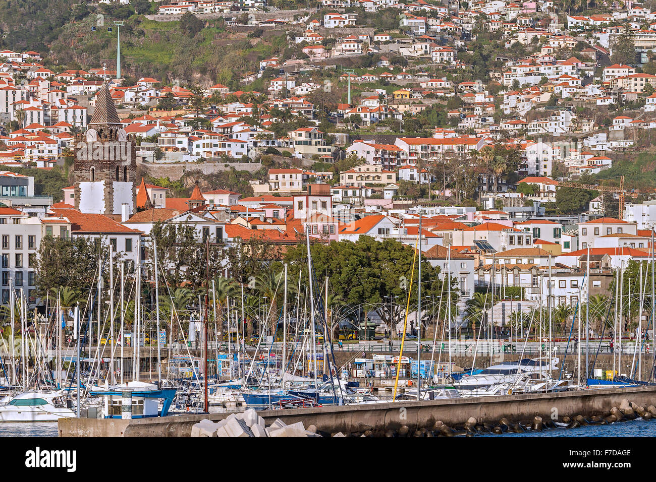 La città di Funchal e Marina Madeira Portogallo Foto Stock