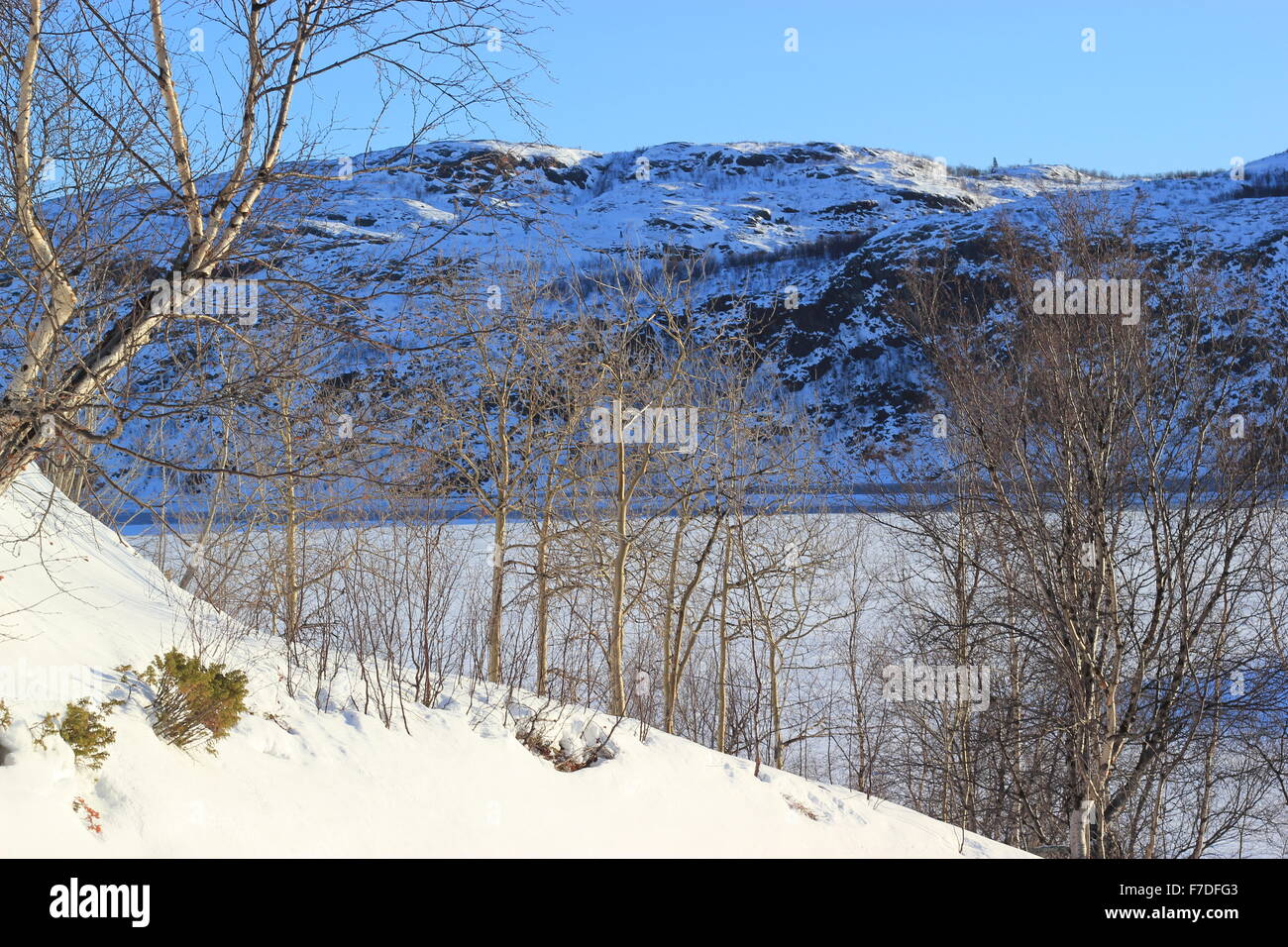 Paesaggi innevati, Kirkenes, Norvegia Foto Stock