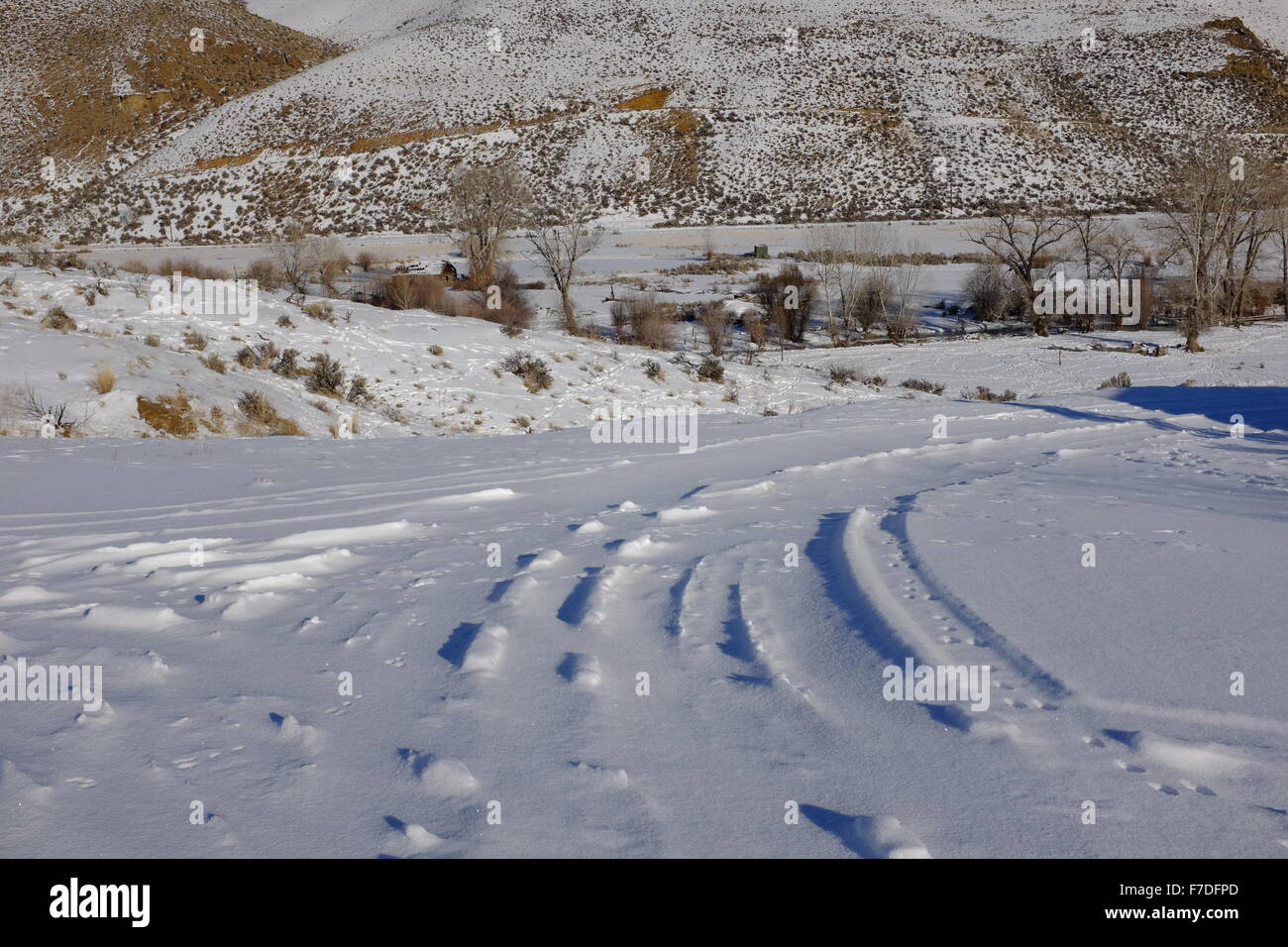 In inverno la neve le scene con le tracce degli animali e il gelo in alberi; neve su una strada rurale Foto Stock