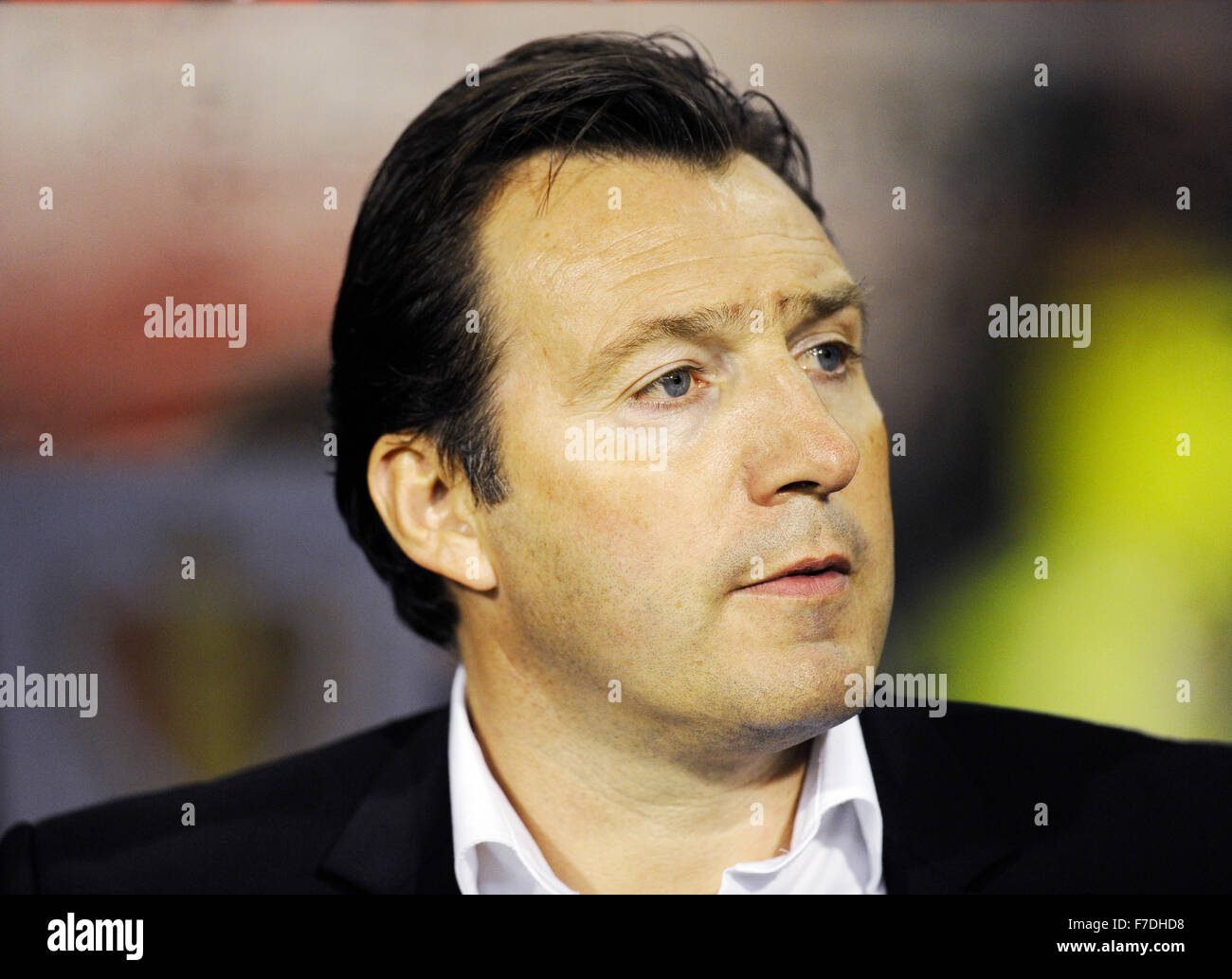 Stade Roi Baudouin, Bruxelles Belgio 13.11.2015, l'UEFA Football Team nazionali amichevole, Belgio vs. Italia 3:1 ----- Marc Wilmots, capo del team manager Belgio Foto Stock