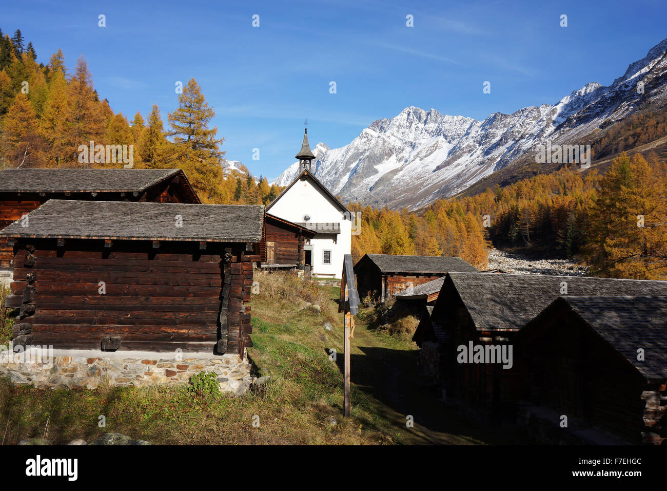Kühmad, Lötschental, in autunno, larici, Alpi del Vallese, Svizzera Foto Stock