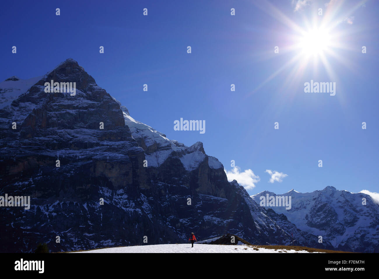 Escursionista su Grosse Scheidegg sopra Grindelwald con Mtns.Wetterhorn, Fiescherhorn, alpi Bernesi, tardo autunno, Svizzera Foto Stock
