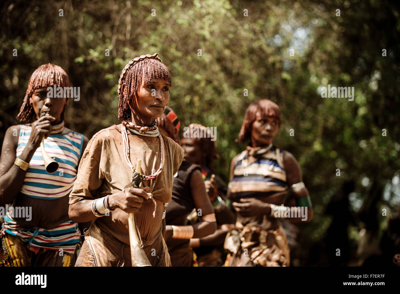 Il salto dei tori cerimonia, Hamar tribù, Turmi, Valle dell'Omo, Etiopia Foto Stock