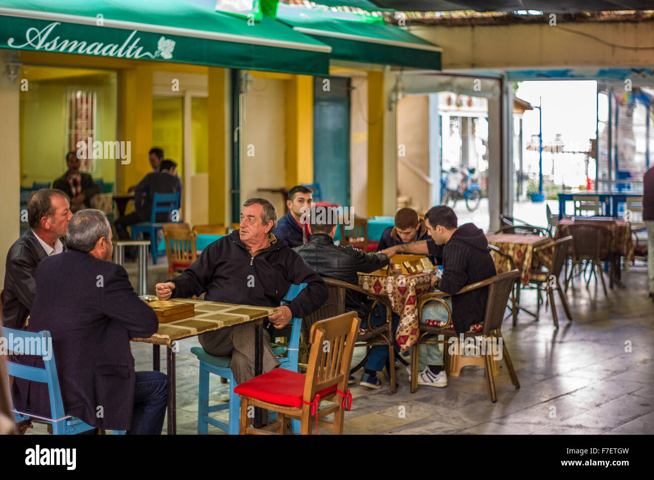 La chat e i giochi in una foca cortile. Foto Stock