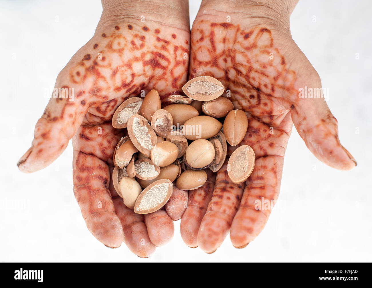 Donna di mani tenendo i dadi di argan in Marocco. Foto Stock