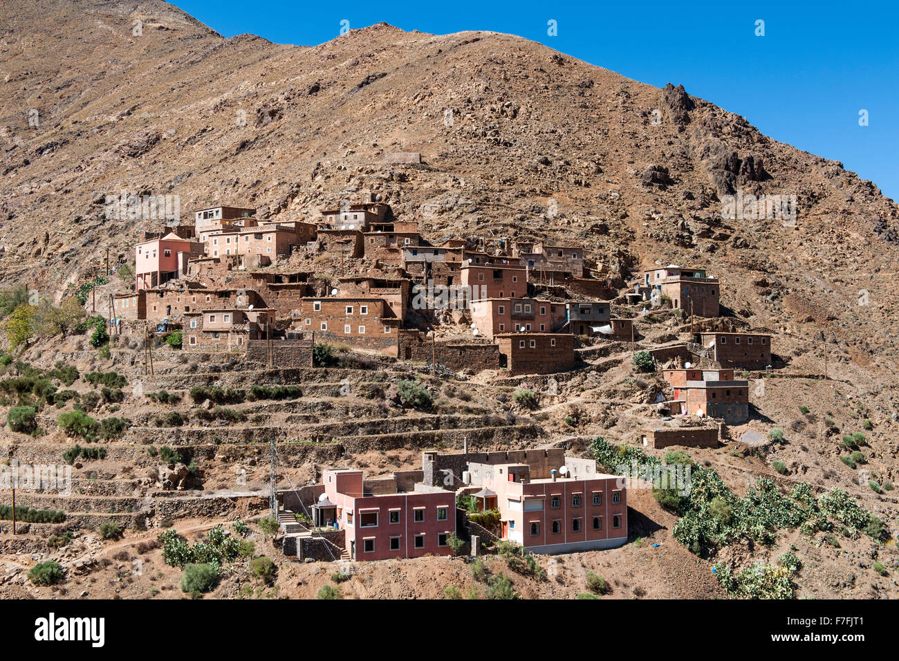Matate comune nei pressi del villaggio di Imlil nelle montagne Atlas in Marocco. Foto Stock