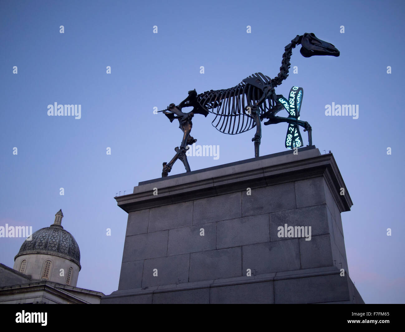 Quarto zoccolo in Trafalgar Square a Londra. Hans Haake "regalo" cavallo scultura Foto Stock