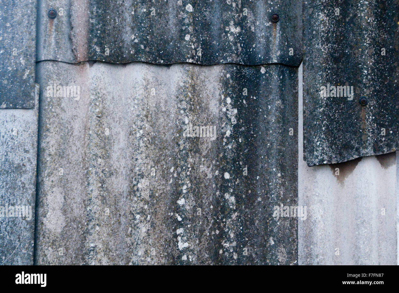 Rimozione amianto rimozioni foglio ondulato in fogli di materiale da costruzione Materiali specialista di specialisti di cancro polmonare, mesotelioma, Foto Stock