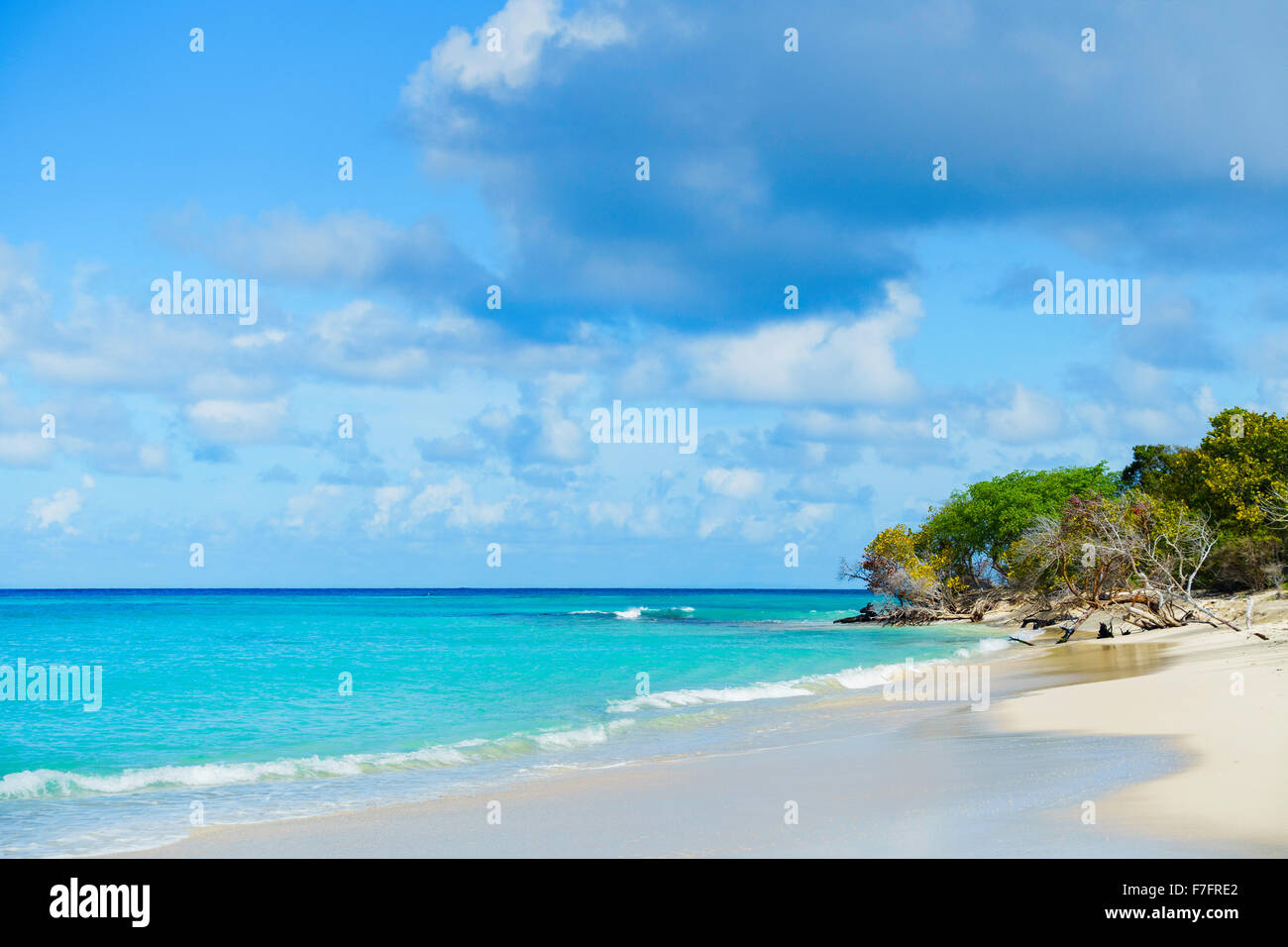 Turtle Beach, Buck Island Reef National Monument, Parco Nazionale, U. S. Isole Vergini. USVI, U.S.V.I. Isole Vergini americane. Foto Stock