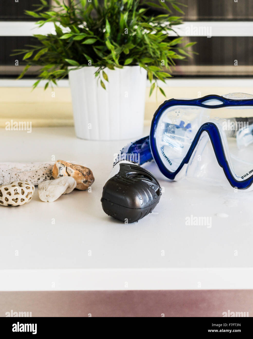 Un bagnato di snorkelling e maschera si trova su un tavolo con una collezione di rocce sulla spiaggia. St. Croix, U.S. Isole Vergini. Foto Stock