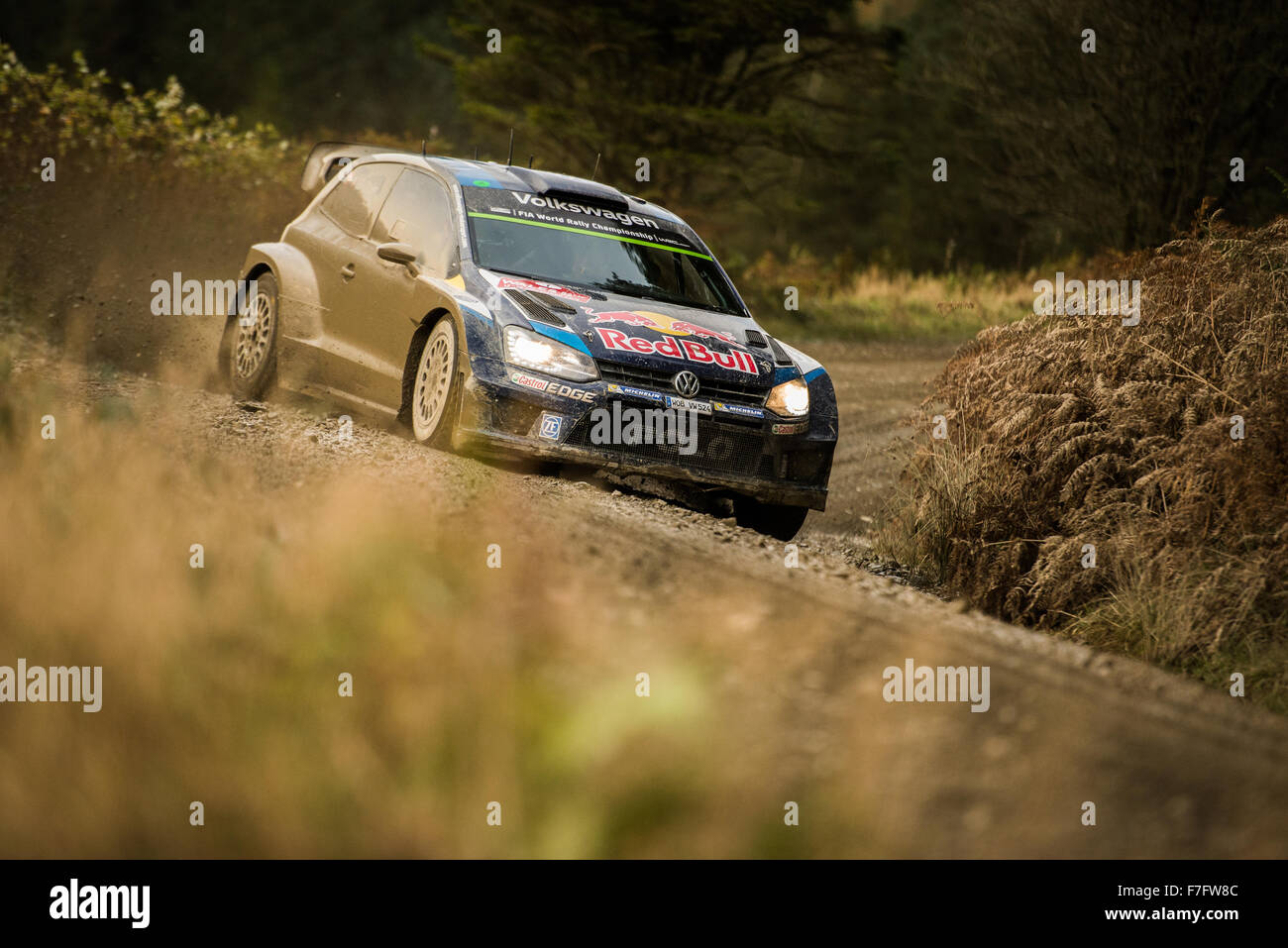 Sebastien Ogier sulla fase 3 del Rally del Galles GB 2015 Foto Stock