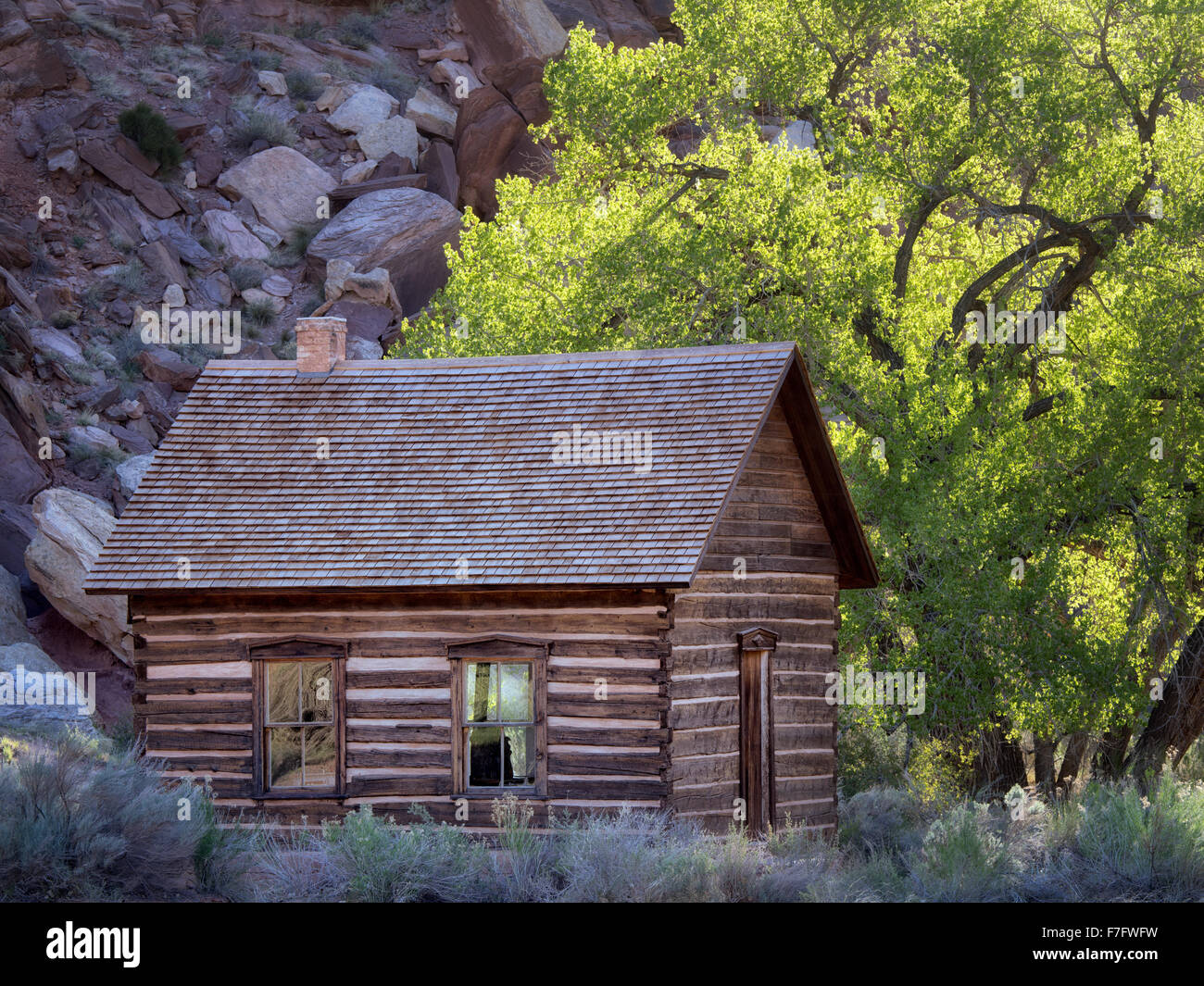 Fruita Schoolhouse. e pioppi neri americani alberi. Parco nazionale di Capitol Reef, Utah Foto Stock