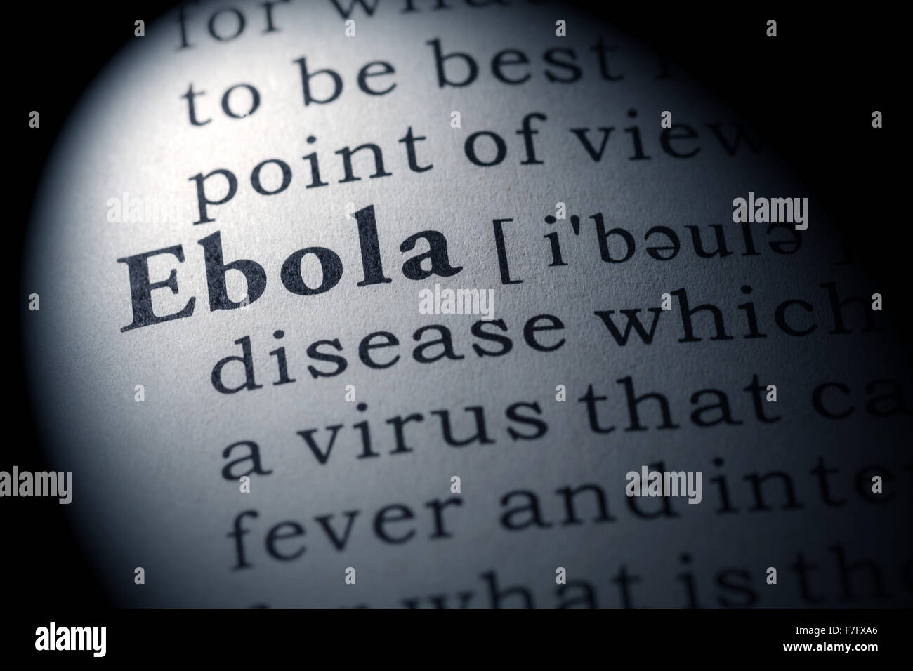 Fake Dizionario, definizione del dizionario della parola Ebola Foto Stock
