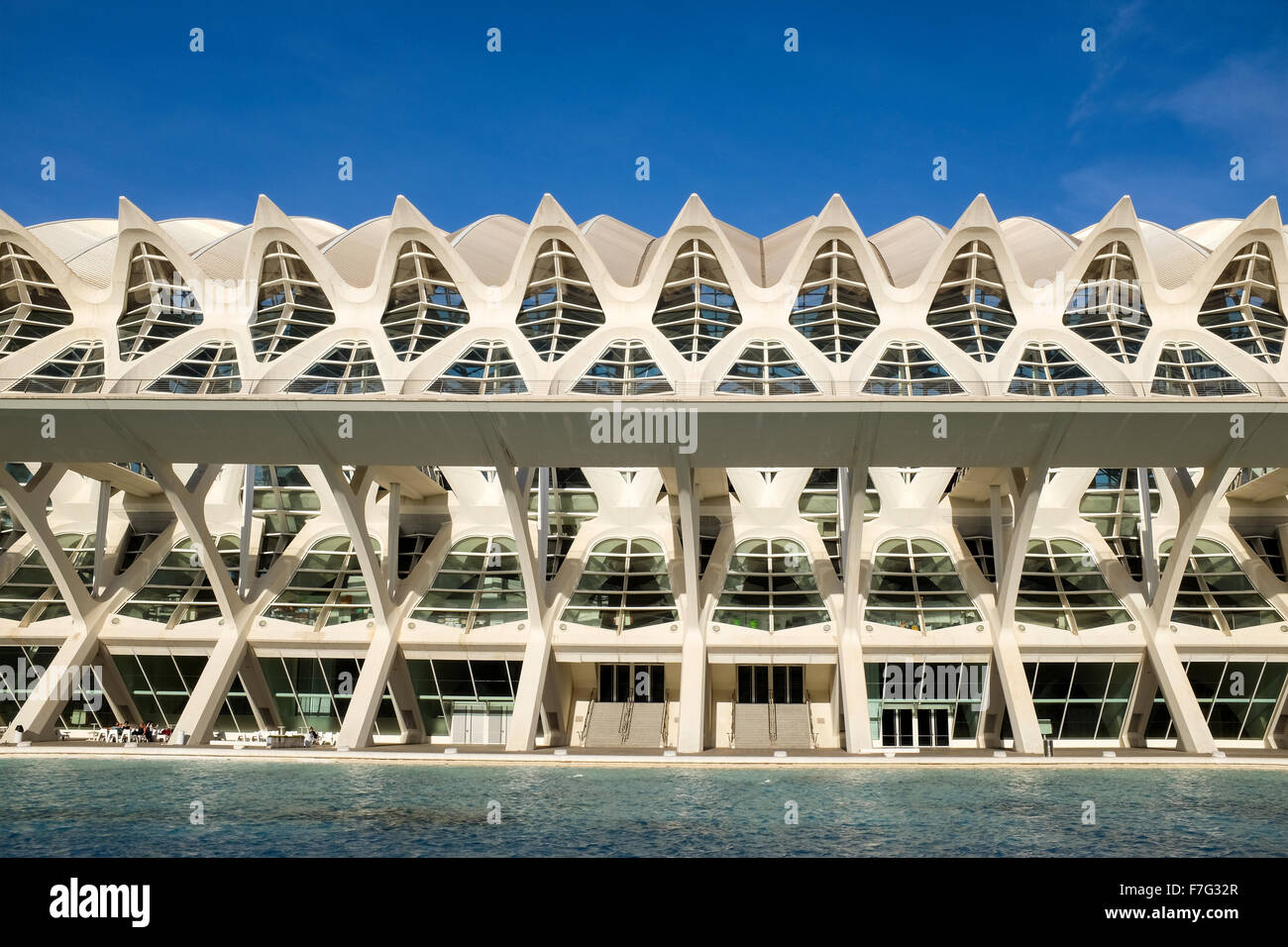 Museo de las Ciencias Príncipe Felipe, la Città delle Arti e delle Scienze, Ciudad de las Artes y las Ciencias, Valencia, Spagna Foto Stock