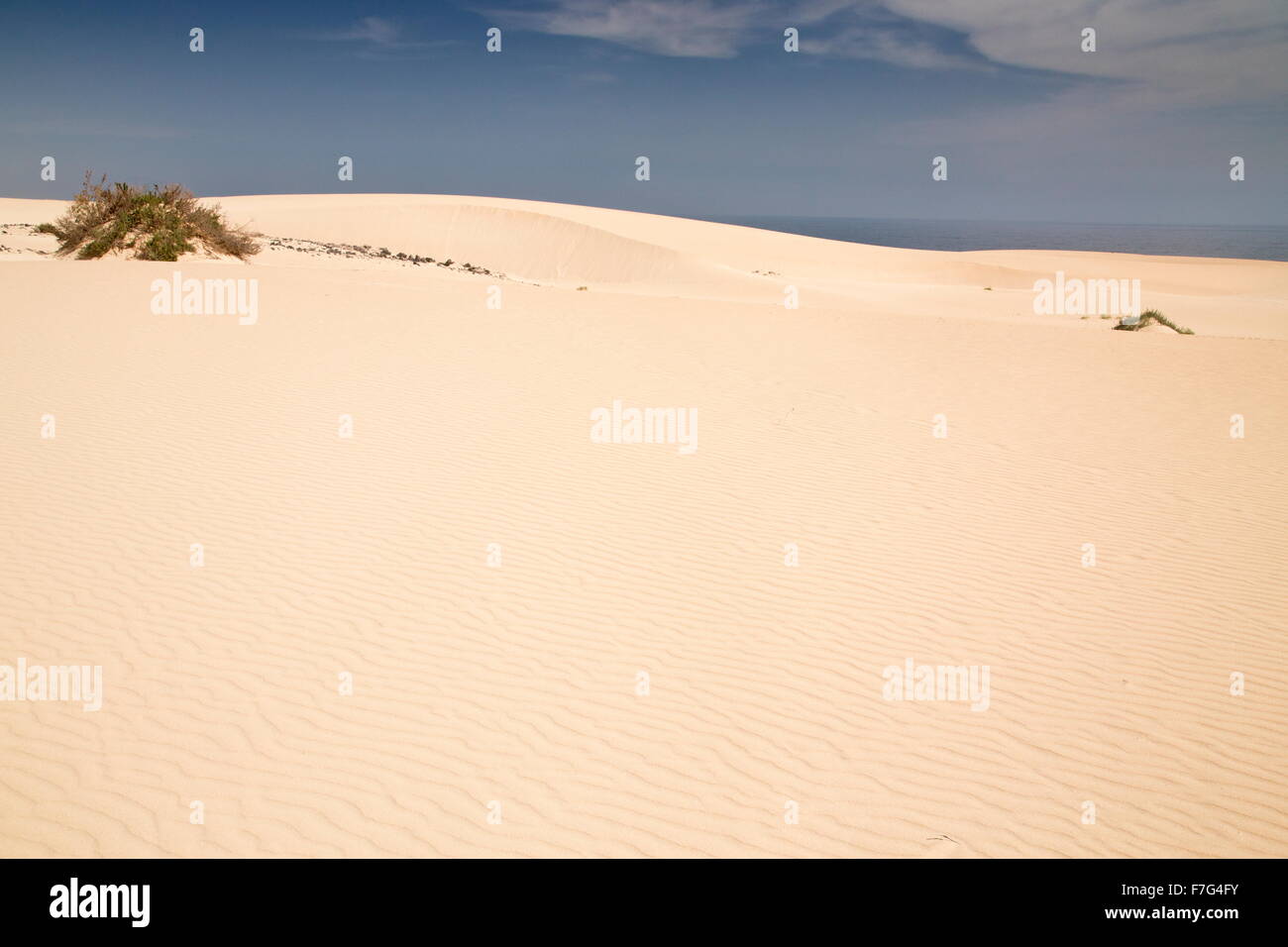 Dune di sabbia nel Parque Natural de las Dunas de Corralejo, Fuerteventura Foto Stock