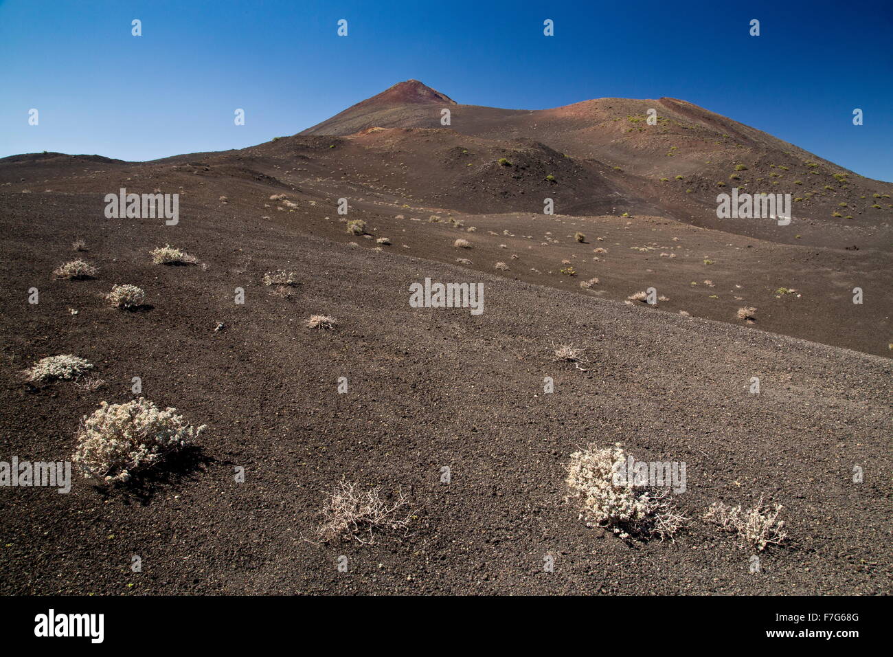 Stark paesaggio vulcanico nel Parco Nazionale di Timanfaya, central Lanzarote, con le prime piante di colonizzazione. Foto Stock