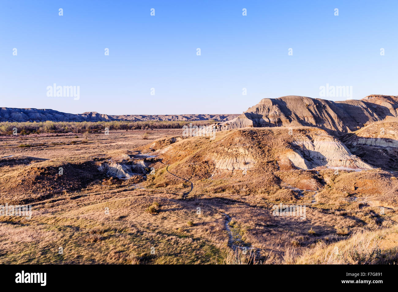 Parco Provinciale dei Dinosauri paesaggio osservato per la bellezza del suo paesaggio badlands e come un importante sito fossile, Alberta, Canada Foto Stock