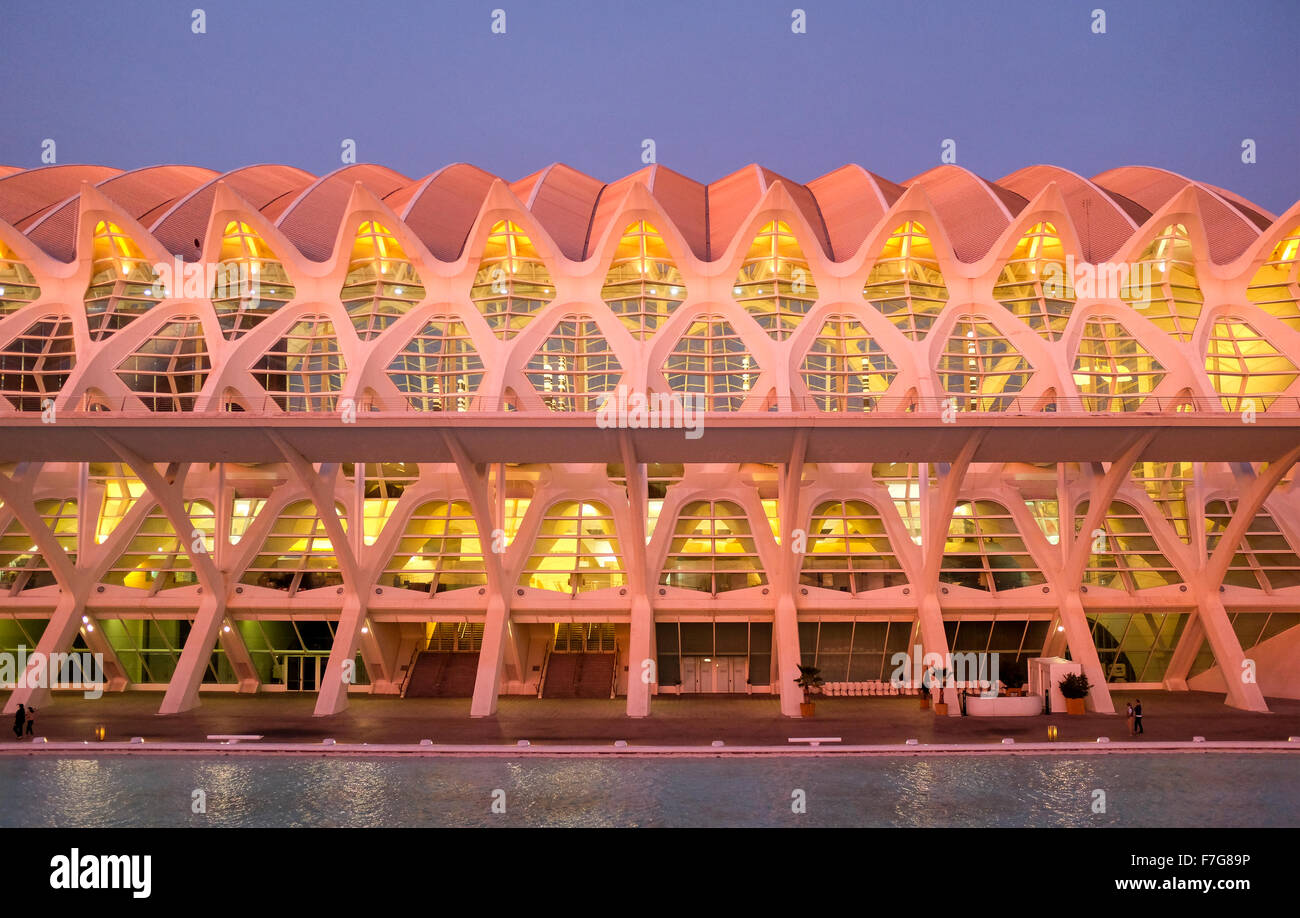 La Città delle Arti e delle Scienze, Ciudad de las Artes y las Ciencias, Museo de las Ciencias Príncipe Felipe, Valencia, Spagna Foto Stock