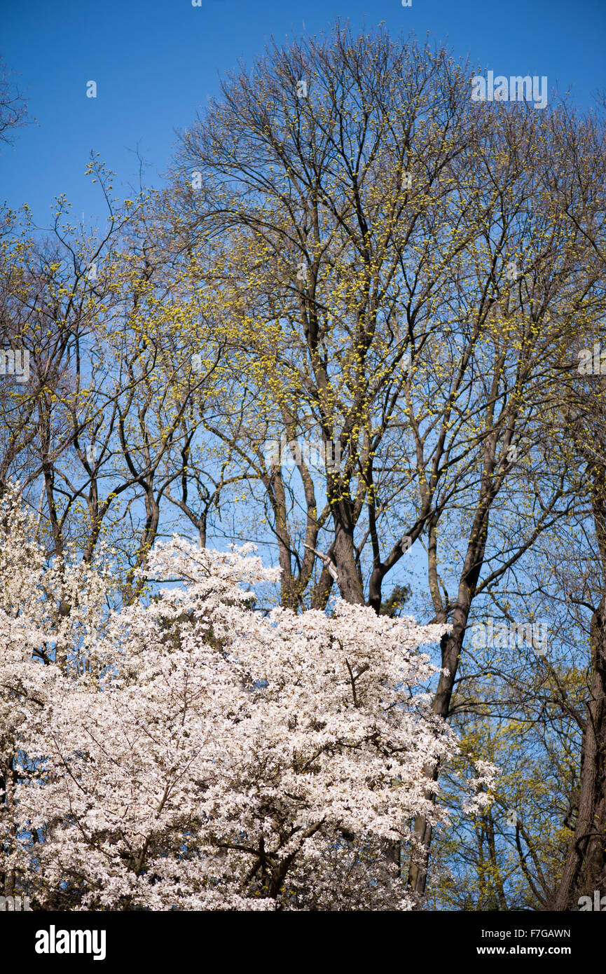 Senza filtro di polarizzazione, effetti diversi sulle due immagini in serie, uno con e uno senza filtro polarizzatore circolare... Foto Stock