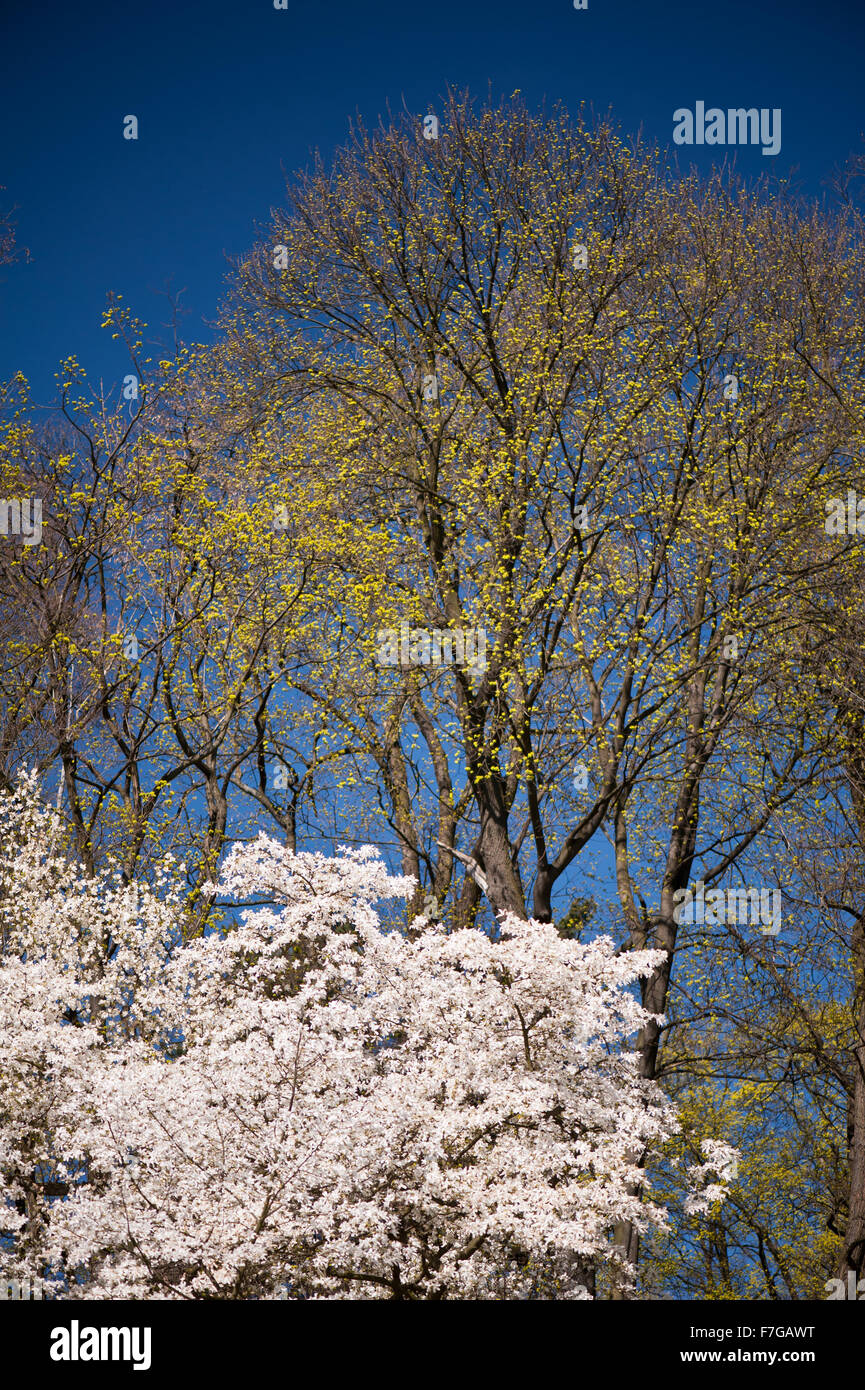 Con filtro di polarizzazione, effetti diversi sulle due immagini in serie, uno con e uno senza filtro polarizzatore circolare... Foto Stock