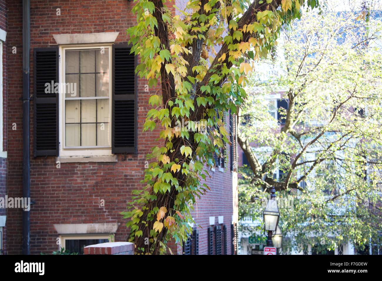 Autunno in Beacon Hill a Boston, Massachusetts Foto Stock