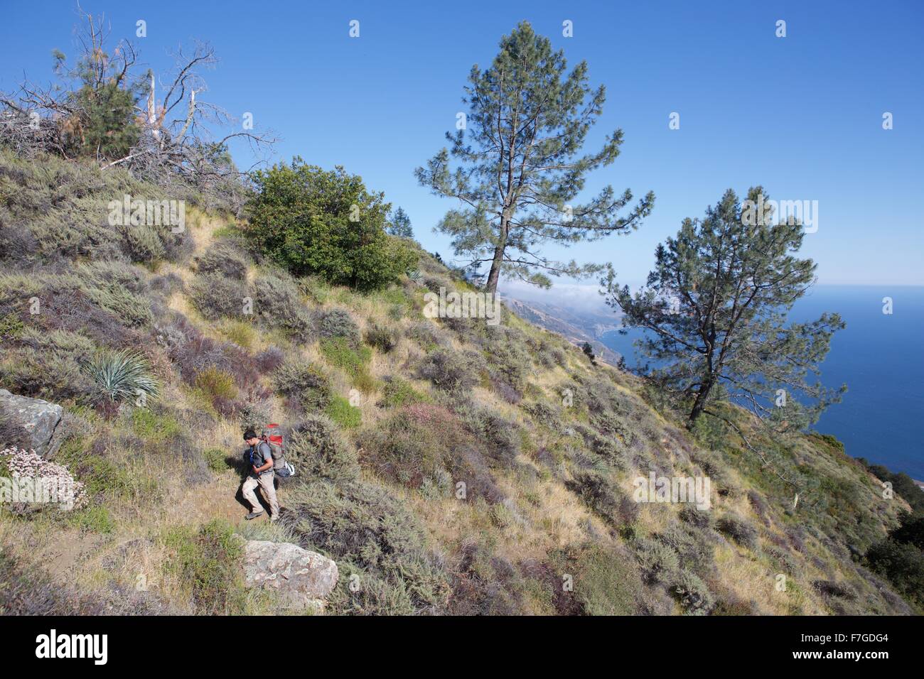 Con lo zaino in spalla in Silver Peak Wilderness del Big Sur, California Foto Stock