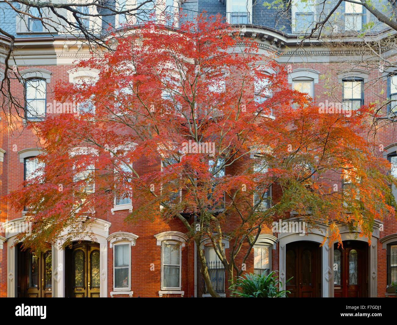 Autunno nella bella e storica estremità Sud quartiere di Boston, Massachusetts. Foto Stock