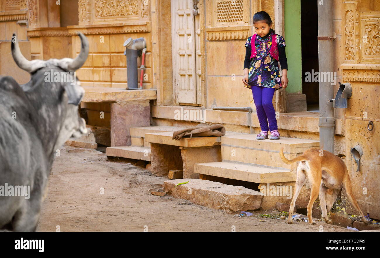 Scena di strada con la mucca, cane e giovane ragazza indiana, Jaisalmer, stato del Rajasthan, India Foto Stock
