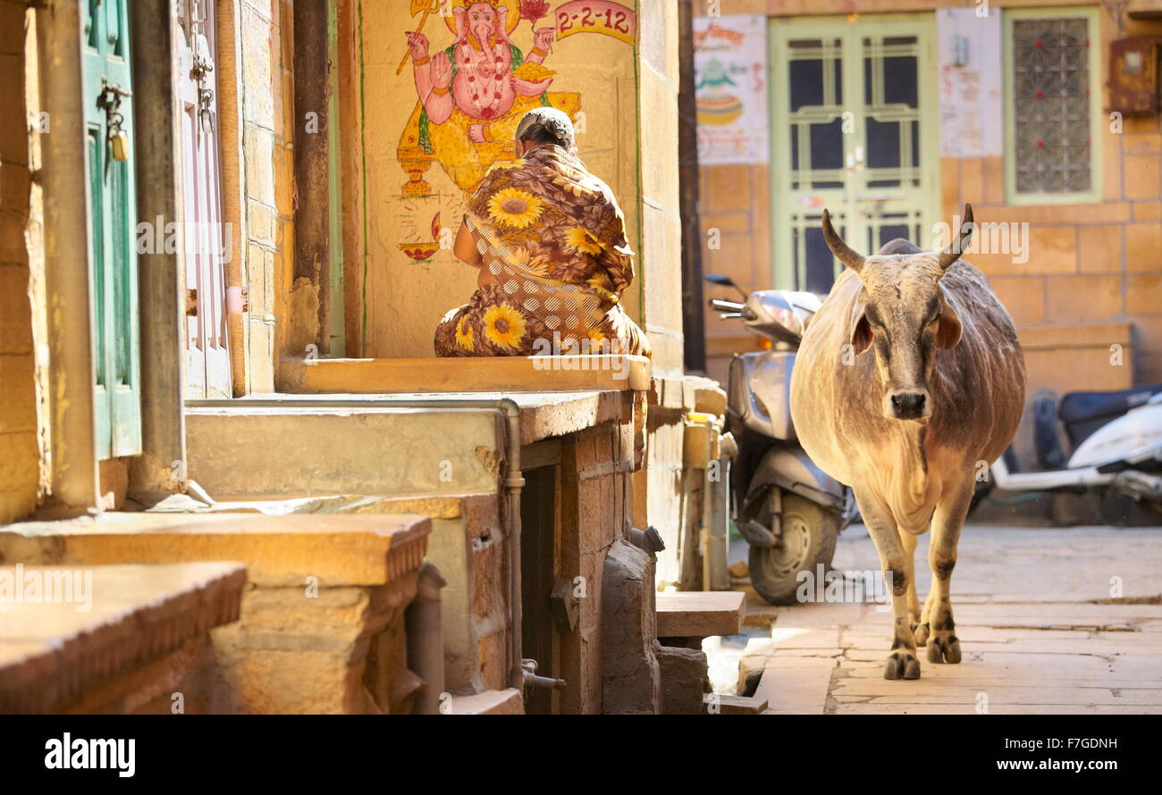 Scena di strada, mucca camminando sulla strada, Jaisalmer, stato del Rajasthan, India Foto Stock