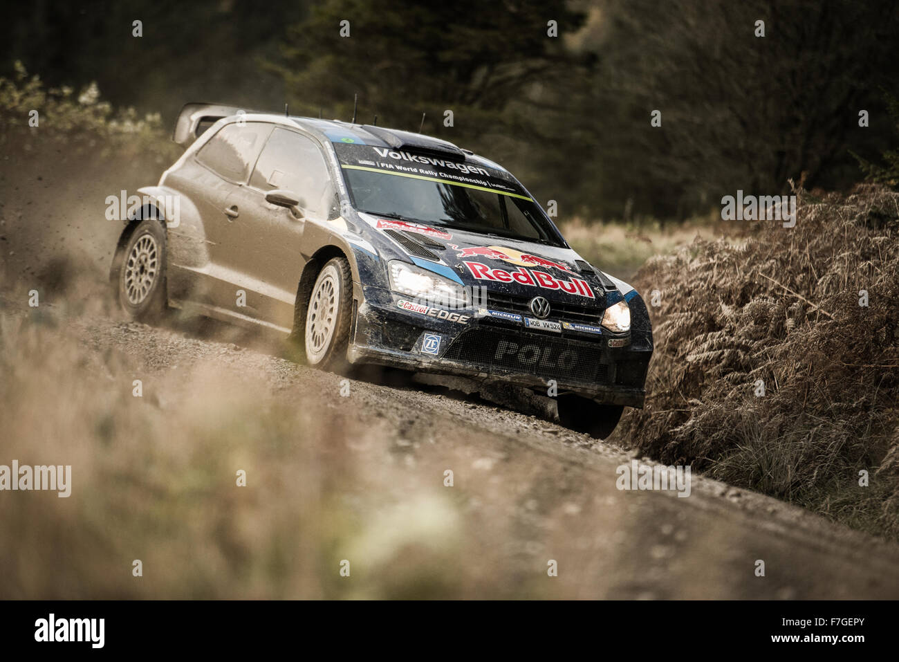 Sebastien Ogier e Julien ingrassia sulla fase 3 del Rally del Galles GB 2015 nel loro VW Polo R WRC Foto Stock