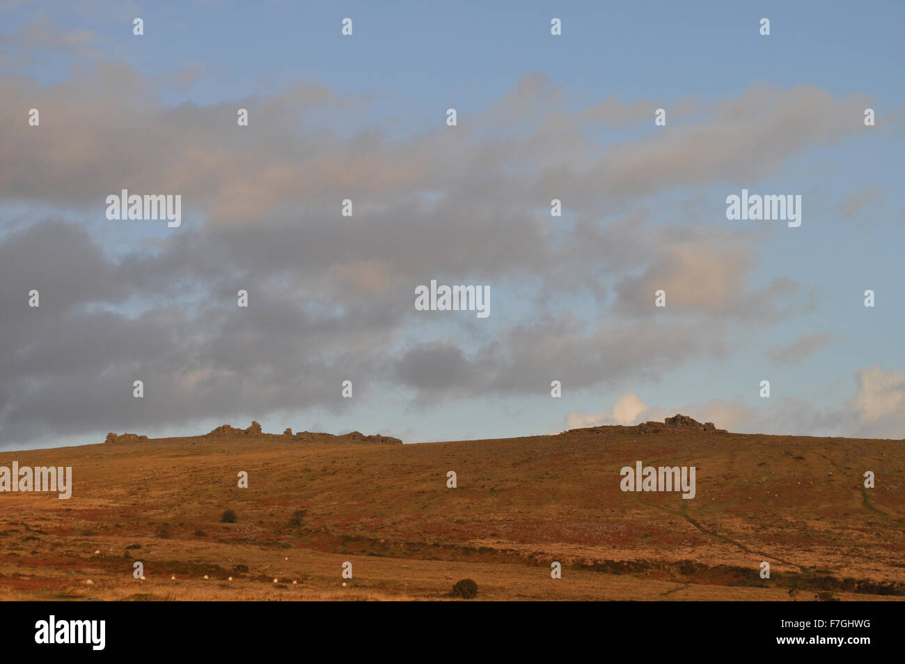 Vista di grande fiocco tor e pinzatura centrale tor su whitchurch comune in inverno, dalla collina di maiale, parco nazionale di Dartmoor, devon Foto Stock