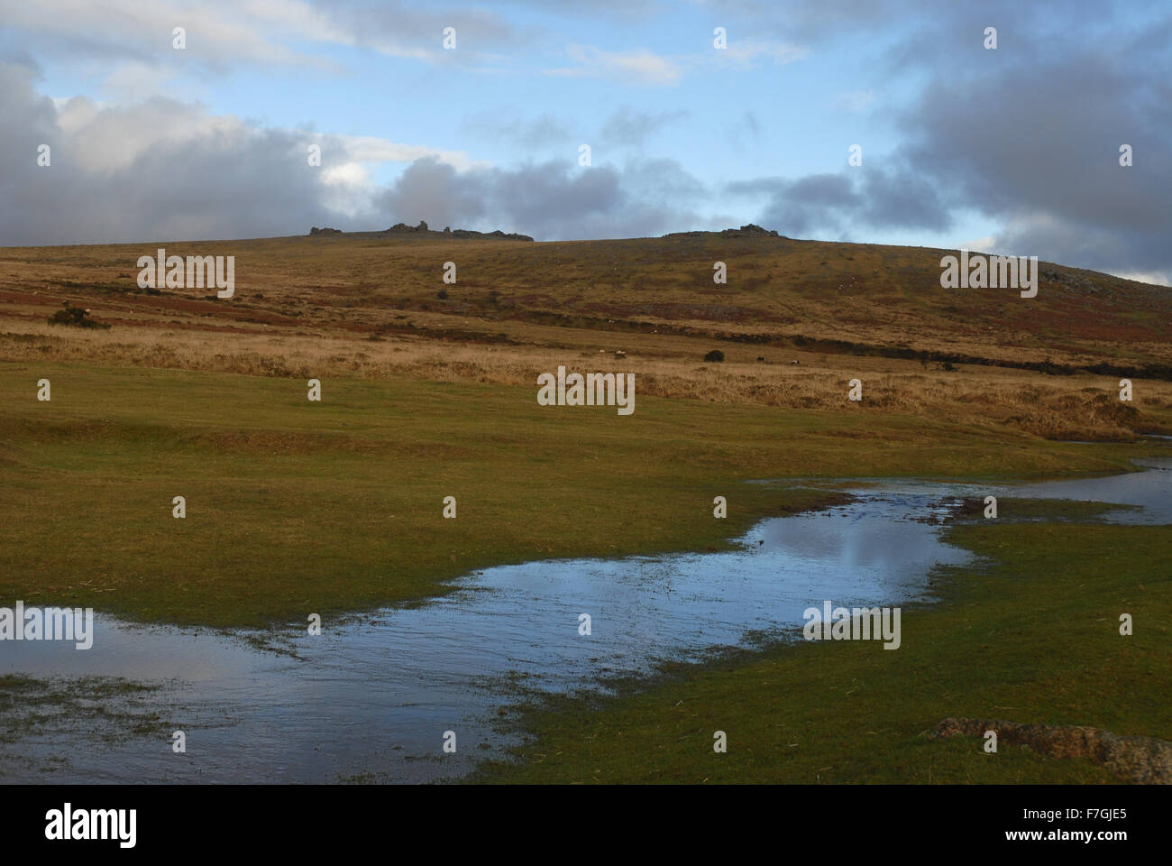 Vista di grande fiocco Tor e pinzatura centrale Tor dalla collina di maiale attraverso Whitchurch comune, Parco Nazionale di Dartmoor, Devon, Enlagland Foto Stock