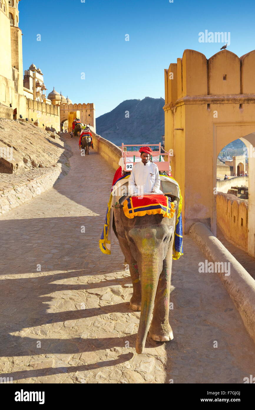 Forte Amber Ambrt Palace - mahout e il suo elephant (Elephas maximus) sulla via del ritorno da Jaipur Forte Amber, Rajasthan, India Foto Stock