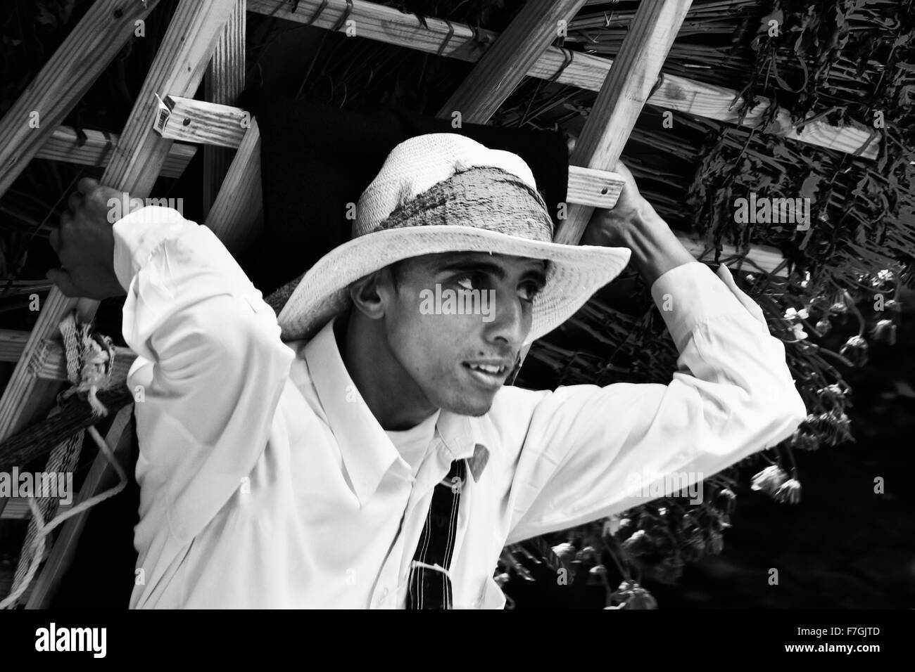 NEW YORK - giu 22: nativi popolo latino partecipante in una dance parade, il 22 giugno 2008 a New York City, Stati Uniti d'America Foto Stock