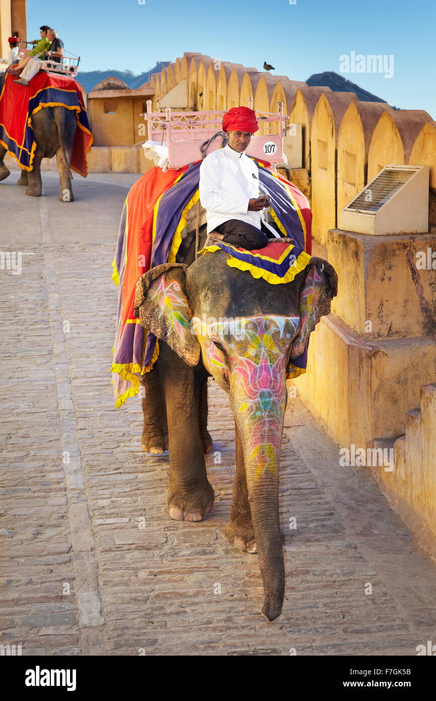 Elefante colorato (Elephas maximus) sulla strada di ritorno dal forte di Amber a Jaipur, Rajasthan, India Foto Stock