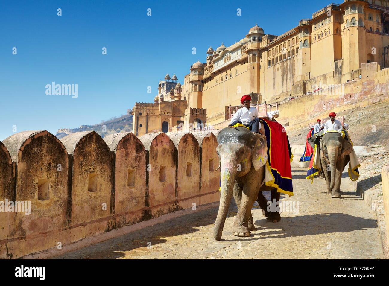 Jaipur - elephant (Elephas maximus) di ritorno da Jaipur Forte Amber, Rajasthan, India Foto Stock