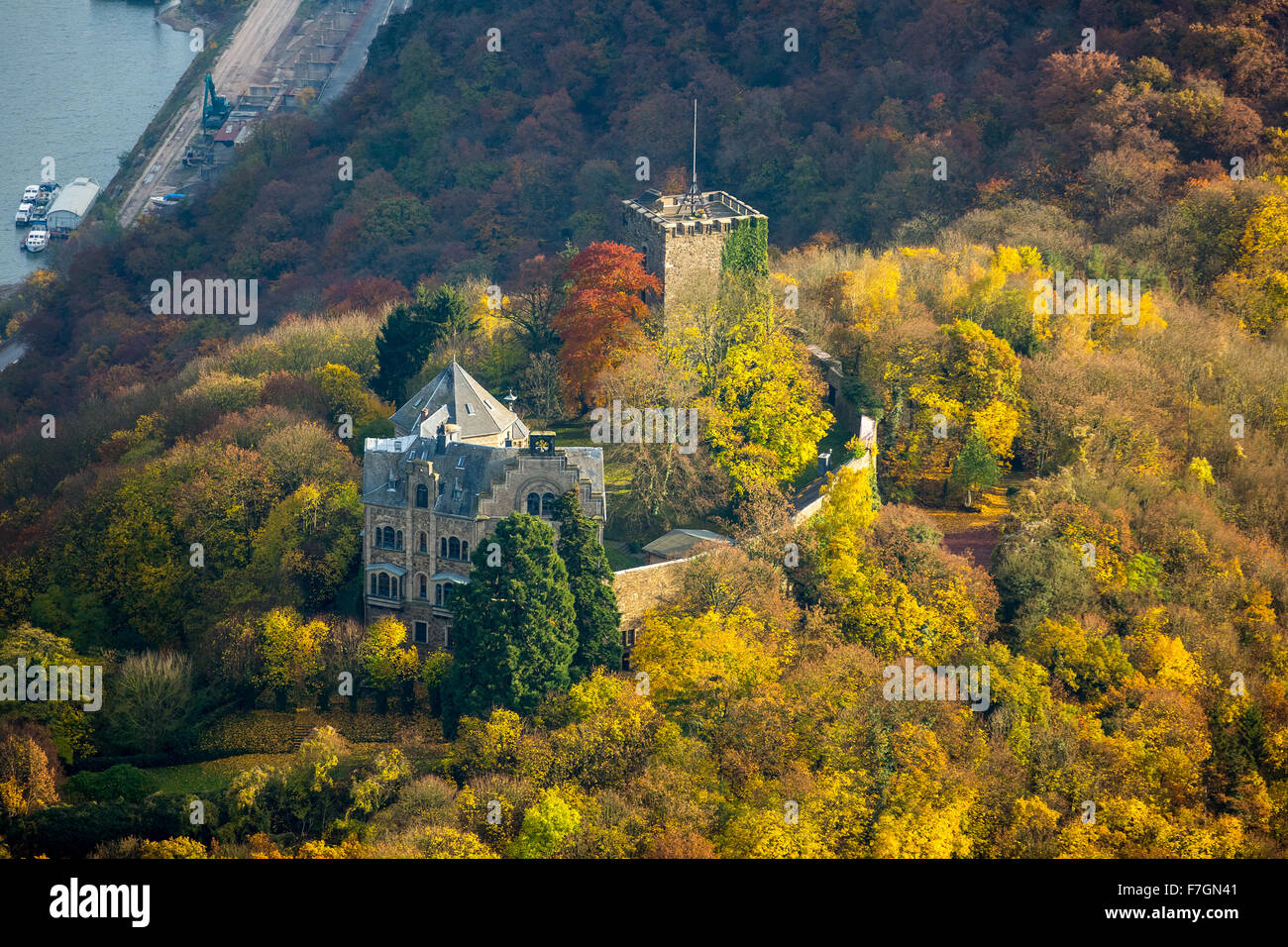 Burg Rheineck nella Valle del Reno, Reno, foglie di autunno, Bad Breisig, Ahrweiler, Renania-Palatinato, Germania Europa, antenna Foto Stock