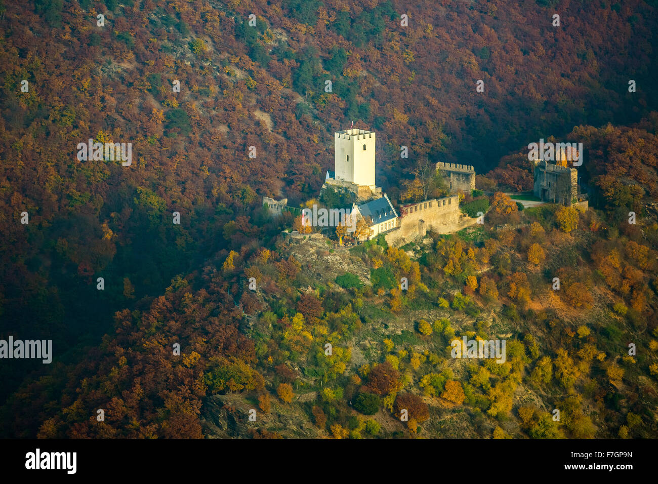 Castello Sterrenberg , Valle del Reno, foglie di autunno, riva destra, Bad Salzig, Taunus, Valle del Reno, Foto Stock