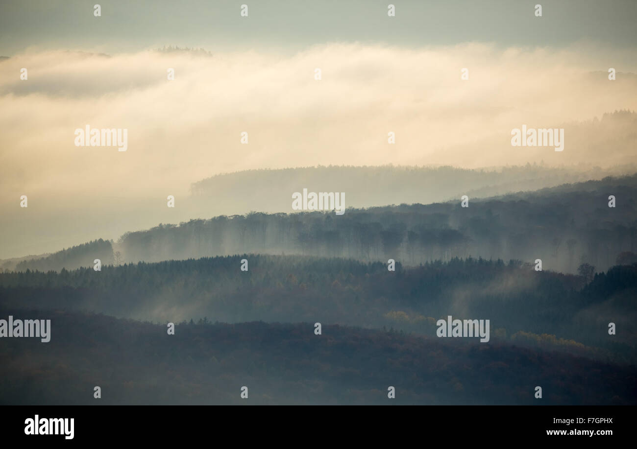 Le foreste del medio Reno Taunus nella nebbia, Taunus, Foresta, Dachsenhausen, Valle del Reno, Renania-Palatinato, Germania Europa, Foto Stock