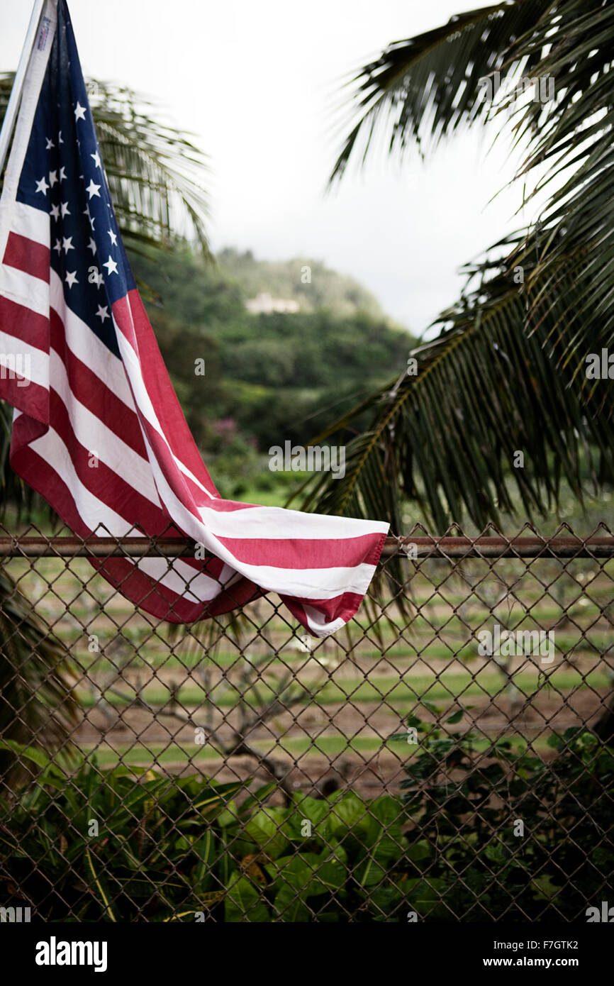 Bandiera americana e una recinzione Foto Stock