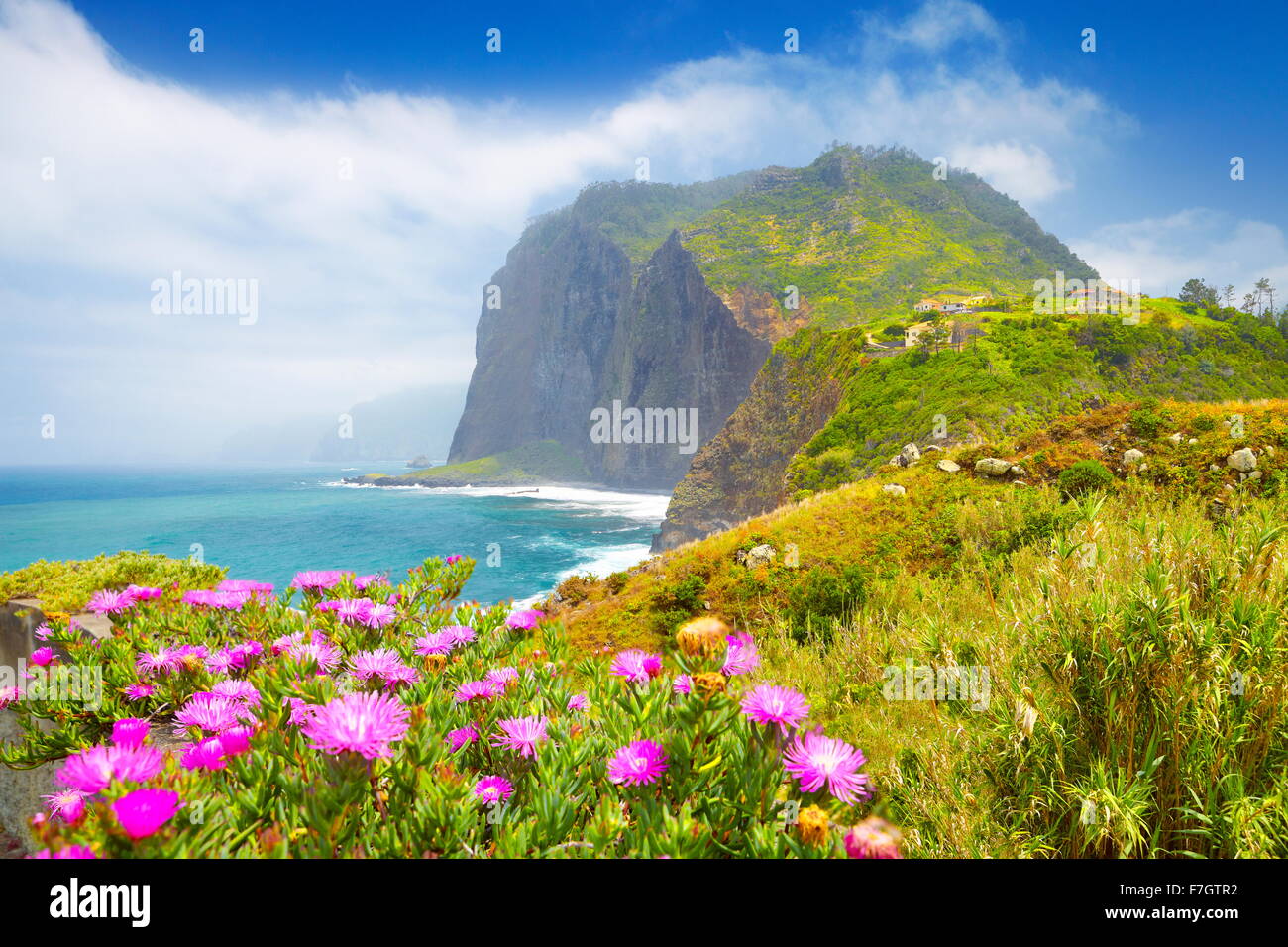 Madeira - Paesaggio con fiori e cliff litorale nei pressi di Ponta Delgada, l'isola di Madeira, Portogallo Foto Stock
